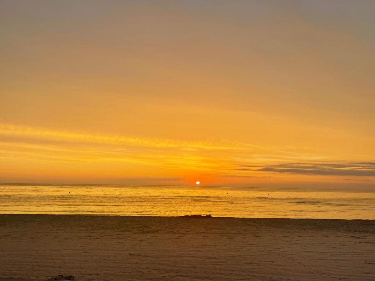 Apartamento Talamar Gandia Playa Playa de Gandia Exteriör bild
